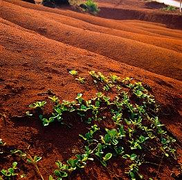 《远征军：罗马》发布角色预告 角斗士贝斯蒂亚·塔巴特登场