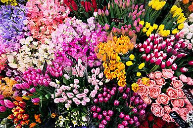 曝《明末：渊虚之羽》不会出DLC 并且不再碰历史